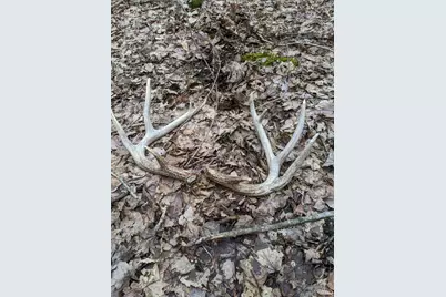 49 Yankeetown Road, Clark Township, OH 45130 - Photo 10