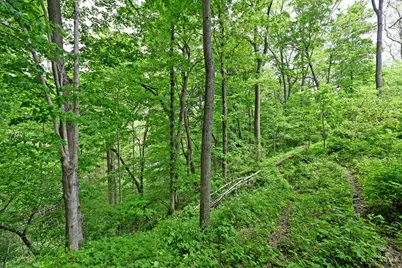 6244 Watt Road, Camden, OH 45311 - Photo 8