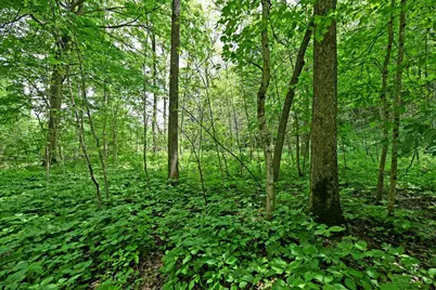 6244 Watt Road, Camden, OH 45311 - Photo 12