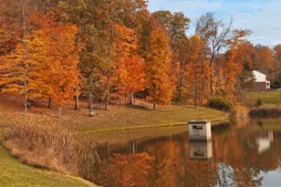 8762 Foxglove Ln, Miami Township, OH 45002 - Photo 50