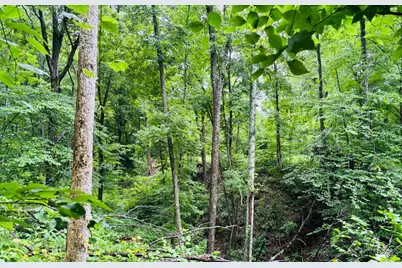 0 Laurel Road, Laurel, IN 47024 - Photo 10