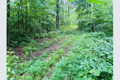 0 Laurel Road, Laurel, IN 47024 - Photo 6