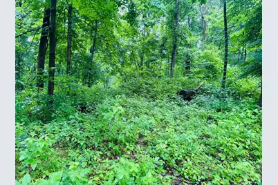 0 Laurel Road, Laurel, IN 47024 - Photo 12