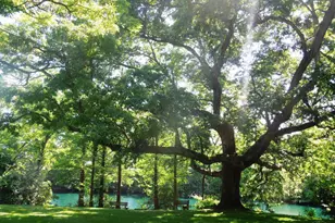 10817 Lakehurst Ct, Sycamore Township, OH 45242 - Photo 18