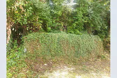 513 Tafel Street, Cincinnati, OH 45225 - Photo 6