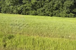 0 Custer Rd, Jackson Township, OH 45171 - Photo 1