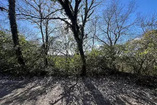 2899 Maisel Dr, Cincinnati, OH 45220 - Photo 1