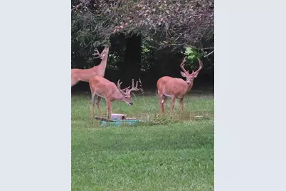 161 Itawamba Drive, Jackson Township, OH 45171 - Photo 38