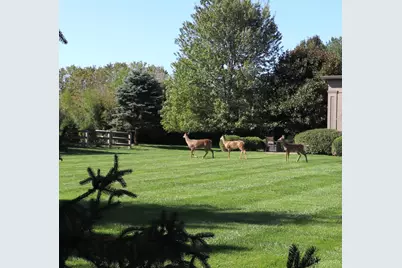 3360 Legacy Trace, Amberley, OH 45237 - Photo 70