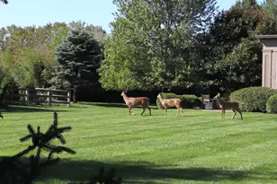 3360 Legacy Trce, Amberley, OH 45237 - Photo 70