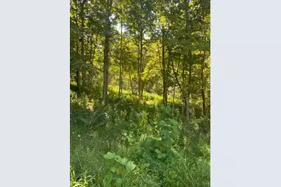 0 Sugar Camp Road, Miami Township, OH 45150 - Photo 6