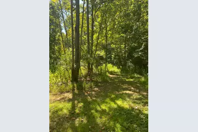 0 Sugar Camp Road, Miami Township, OH 45150 - Photo 8