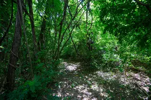 3163 Lindale-Mt Holly Rd, Monroe Township, OH 45102 - Photo 42