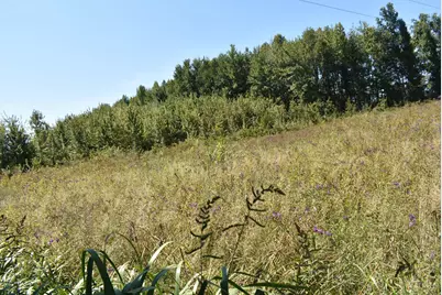 689 Duncanson Road, Whiteoak Township, OH 45171 - Photo 18