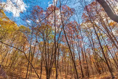 216 Kurt Street, West Union, OH 45693 - Photo 30