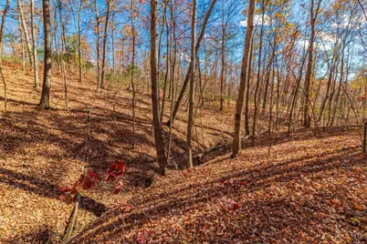 216 Kurt Street, West Union, OH 45693 - Photo 18