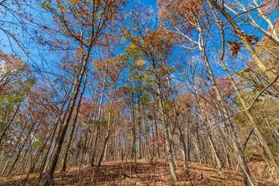 216 Kurt Street, West Union, OH 45693 - Photo 16