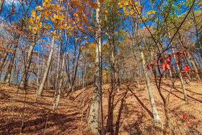 216 Kurt Street, West Union, OH 45693 - Photo 24