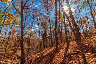 216 Kurt Street, West Union, OH 45693 - Photo 22