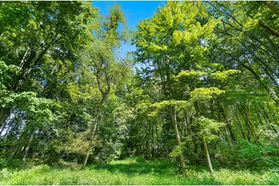 4843 Benton Road, Batavia, OH 45103 - Photo 70