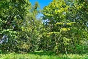 4843 Benton Rd, Batavia, OH 45103 - Photo 70