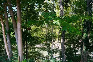 221 Miami Lakes Dr, Milford, OH 45150 - Photo 26