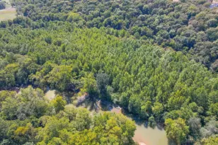 5467 Morrow-Blackhawk Rd, Salem Township, OH 45152 - Photo 50