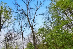 1487 Sawgrass Rdg Dr, Goshen, OH 45140 - Photo 58