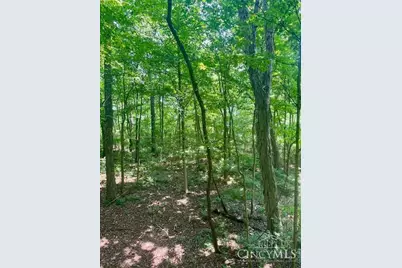 8469 McCulley Lane, Blanchester, OH 45107 - Photo 12