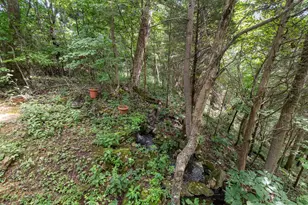 1011 Hafer Rd, West Union, OH 45693 - Photo 22