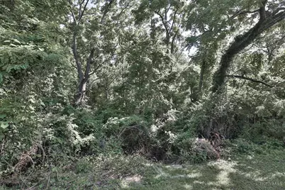 958 Hollytree Drive, Springfield Township, OH 45231 - Photo 42