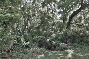 958 Hollytree Dr, Springfield Township, OH 45231 - Photo 42