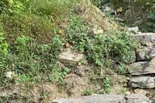 786 Sutton Rd, Anderson Township, OH 45230 - Photo 14