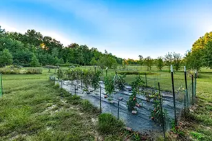 4255 Nicholson Rd, Washington Township, OH 45113 - Photo 60