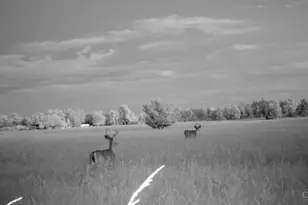 10071 Eby Rd, Germantown, OH 45327 - Photo 50