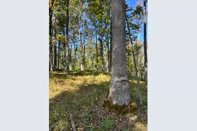 44892 Minerton Road, Wilkesville Twp, OH 45686 - Photo 46