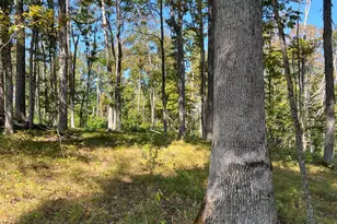 44892 Minerton Rd, Wilkesville Twp, OH 45686 - Photo 46