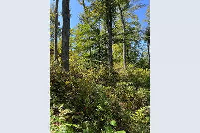 44892 Minerton Road, Wilkesville Twp, OH 45686 - Photo 50