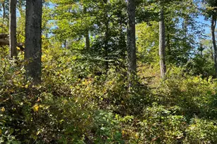 44892 Minerton Rd, Wilkesville Twp, OH 45686 - Photo 50