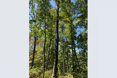 44892 Minerton Road, Wilkesville Twp, OH 45686 - Photo 72