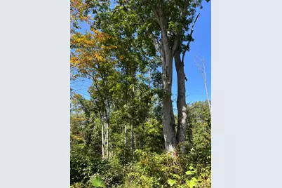 44892 Minerton Road, Wilkesville Twp, OH 45686 - Photo 78