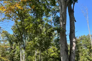 44892 Minerton Rd, Wilkesville Twp, OH 45686 - Photo 78