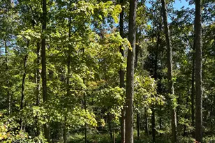 44892 Minerton Rd, Wilkesville Twp, OH 45686 - Photo 74