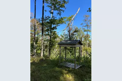 44892 Minerton Road, Wilkesville Twp, OH 45686 - Photo 62