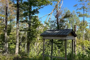 44892 Minerton Rd, Wilkesville Twp, OH 45686 - Photo 62