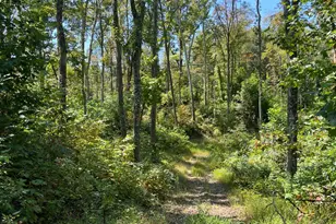 44892 Minerton Rd, Wilkesville Twp, OH 45686 - Photo 84