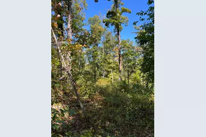 44892 Minerton Road, Wilkesville Twp, OH 45686 - Photo 68