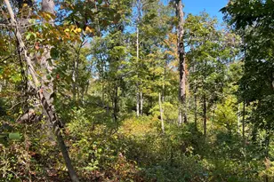 44892 Minerton Rd, Wilkesville Twp, OH 45686 - Photo 68