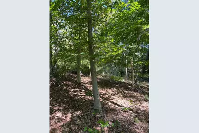 44892 Minerton Road, Wilkesville Twp, OH 45686 - Photo 76