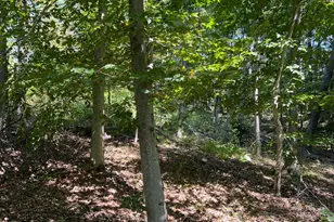 44892 Minerton Rd, Wilkesville Twp, OH 45686 - Photo 76